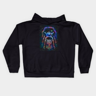 Odin The One Eyed Kids Hoodie